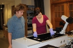 Researcher to Advance Study of Quantum Dots Core-Shell Interface with NSF Award