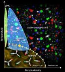 BNL Theoretical Physicists to Lead ‘Topical Collaborations in Nuclear Theory’ Projects