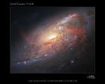 Renowned Astro-Photographer Assembles Photo Illustration of Magnificent Spiral Galaxy