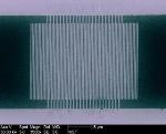 NIST Researchers Achieve More Precise Detection of Individual Particles of Light