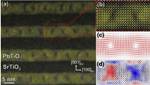 First Ever Observations of Rotating Topologies of Electrical Polarization