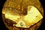 Nuclear Effects Induce Superconductivity in Ytterbium Dirhodium Disilicide