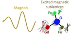 Conversion Principles of Heat Currents to Magnonic Spin Currents Discovered