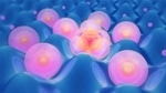 Breakthrough Study Takes Closer Look at Rydberg Physics