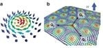 Experiment Reveals Clear Distinction Between Two Different States of Skyrmion Phase