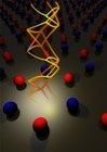 Princeton University Researchers Theorize Existence of Hourglass Fermions in Crystals