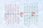 Researchers Use Antimatter Particles to Study Structure of Liquid-Crystal SMEs
