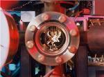 Researchers Reverse Quantum Measurement Using Quantum Error Correction Protocol
