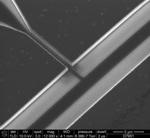 Scientists Take Another Step Toward Quantum Computing