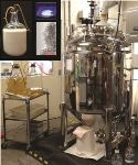 ORNL Biomanufacturing Technique Could Produce Significant Amounts of Quantum Dots