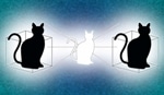 New Yale Study Combines Quantum Entanglement and Superposition