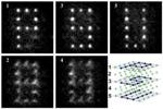 New Technique Demonstrates Use of Atoms as Building Blocks of Circuits in Quantum Computers