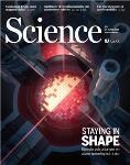 MPQ Researchers Obtain Evidence of Many-Body Localization in Closed Quantum System