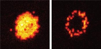 MPQ Researchers Develop Novel Method to Let Atoms Interact Over Large Distances