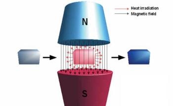 Smallest Dislocation in FeRh Alloys May Have Significant Impact on Manifestation of Magnetocaloric Properties