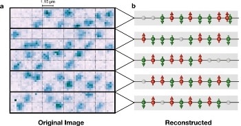 MPQ Scientists Observe Emergence of Antiferromagnetic Correlations in Fermionic Atoms