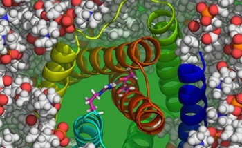 Scientists to Develop Modeling, Simulation Applications for Nuclear and High-Energy Physics and Chemistry Research