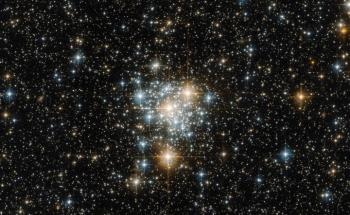 Southern Constellation of Tucana Cluster Possesses Variety of Unsung Cosmic Beauties