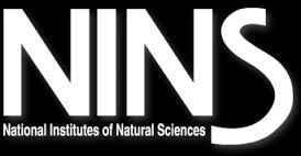 Researchers Observe First Deformation of Localized Tongue Plasma in LHD