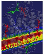 Light-Harvesting Mechanism of Photosynthetic Algae Revealed Using Ultrafast Lasers