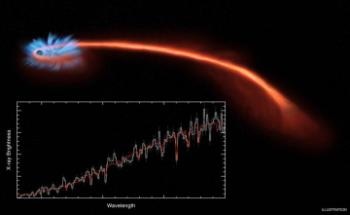 Researchers Explore Interplay of Various Dynamic Mechanisms Affecting Number of Stars in Galaxy