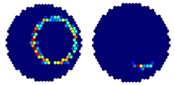 Astronomers Seek Public’s Help to Categorize Ring Patterns on Observatory Camera Images