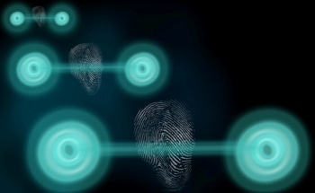 Researchers Disclose Quantum States by Measuring Their Classical Fingerprint