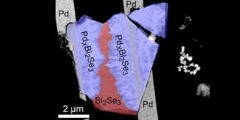 New Topological Material Could Enable Fault-Tolerant Quantum Computing