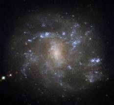 NASA/ESA Hubble Space Telescope Identifies Barred Spirals in Lynx