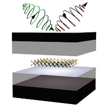 Physicists Use Light to Manipulate "Valley" Properties in 2D Semiconductors 