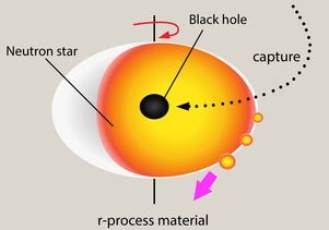 Primordial Black Holes Might Explain How Platinum, Gold and Uranium are Created