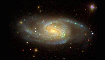 Research on Milky Way Siblings