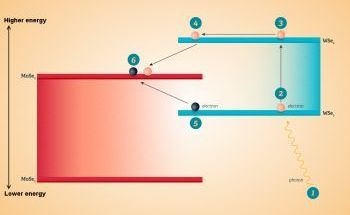 New Photodetector Senses Light by Combining Two Distinct Inorganic Materials