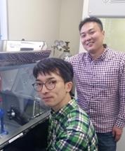 Researchers Identify a New Layered Superconducting Material Based on Tin and Arsenic