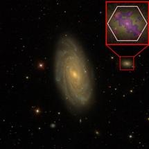 Supermassive Black Holes Prevent Star Formation in Some Smaller Galaxies