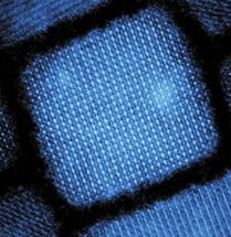 Caesium Lead Halide Quantum Dots Emit Extremely Bright and Fast Light