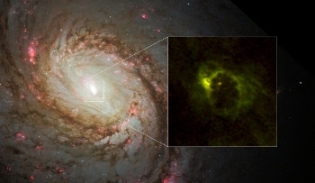 ALMA Reveals Dusty Gaseous Torus Around Black Hole