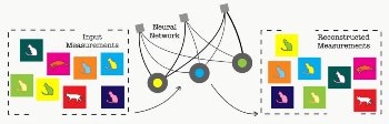 Quantum Physics–Inspired Machine Learning Approach for Reconstructing Complex Quantum Systems