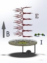 Study Shows Polarization of Electromagnetic Waves has Strong Effect on Electrons
