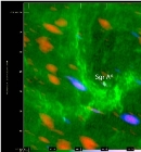 Star Formation Found Perilously Close to Supermassive Black Hole