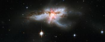 Black Hole Stellar Winds Form Huge Butterfly & Prevent Star Formation in Galaxy