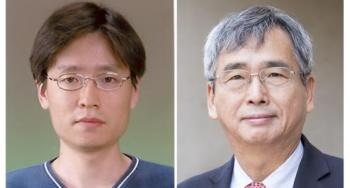 Computational Model for Studying Growth of Magnetic Islands Disrupting Fusion Reactions
