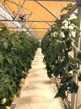 NASA Awards UbiQD Contract to Develop Greenhouse Films for Space Missions