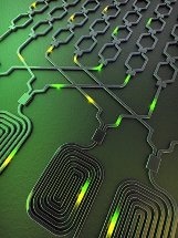 Making Light Work of Quantum Computing