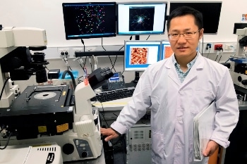 New Discovery Gives Light to Efficient Electricity