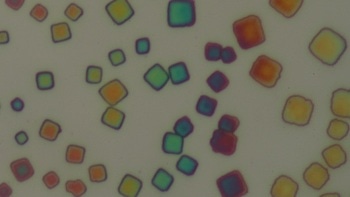 New Study on Superfluorescence Could Enable Future Developments in Quantum Computing, LED Lighting