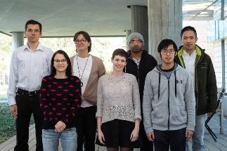Physicists Describe Metamagnetism and Low-Carrier Kondo Effects of YbRh3Si7, an Eccentric Compound