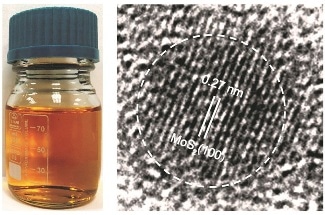 New Scalable, Cost-Effective Approach to Synthesize TMD Quantum Dots