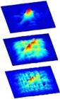 Researchers Determine Time Needed for Quantum Information to Propagate across Bose-Einstein Condensates