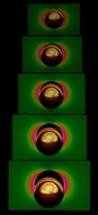Quantum Physics-Based Paper Diagnostic Devices Could Soon be a Reality